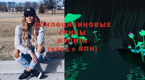 ГАЛЛЮЦИНОГЕННЫЕ ГРИБЫ Михайловка