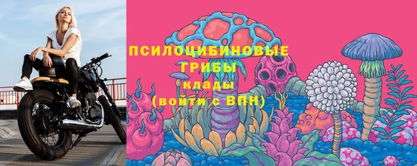ПСИЛОЦИБИНОВЫЕ ГРИБЫ Алзамай
