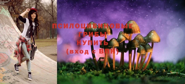 ПСИЛОЦИБИНОВЫЕ ГРИБЫ Алзамай