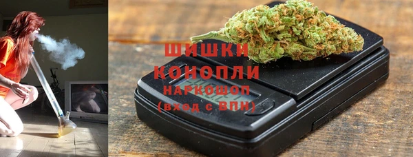 ПСИЛОЦИБИНОВЫЕ ГРИБЫ Алзамай